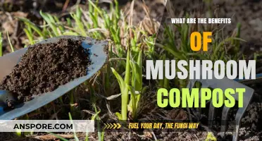 Mushroom Compost Benefits: Boost Soil Health and Plant Growth Naturally