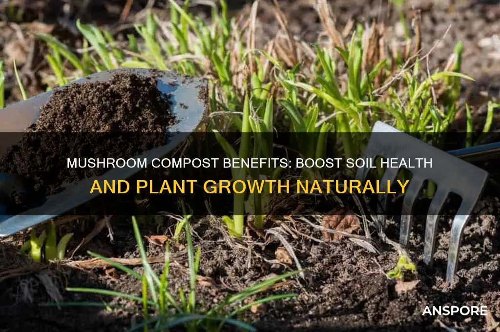 what are the benefits of mushroom compost