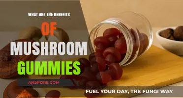 Unlocking Wellness: Surprising Benefits of Mushroom Gummies Explained