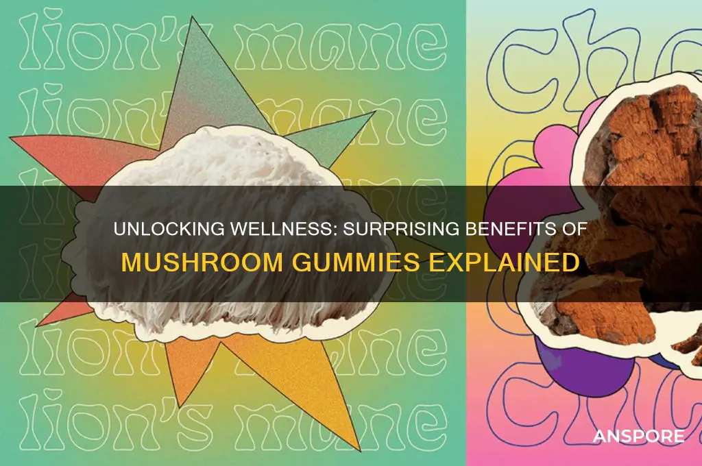 what are the benefits of mushroom gummies
