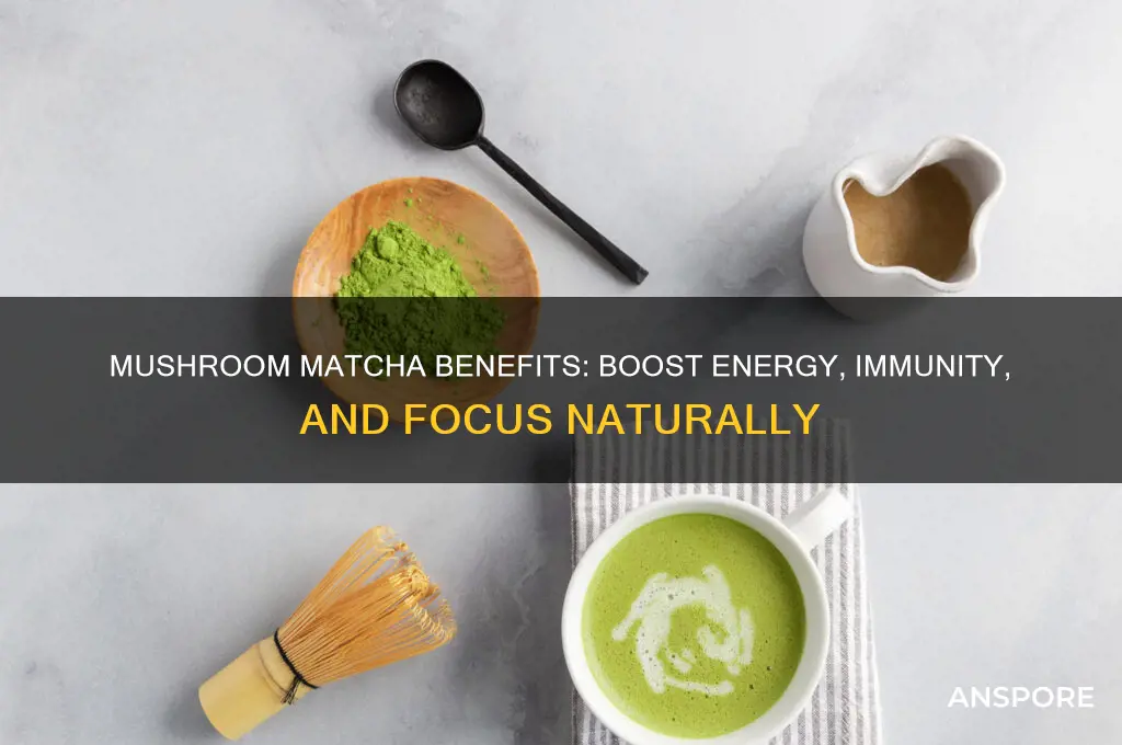 what are the benefits of mushroom matcha