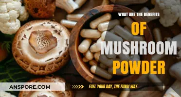Unlocking Mushroom Powder's Health Benefits: Nutrition, Immunity, and Energy Boost