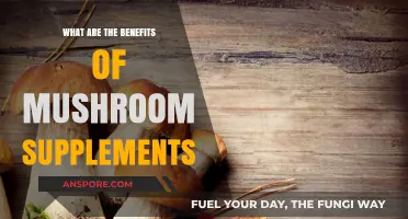 Unlocking Health: Surprising Benefits of Mushroom Supplements Explained