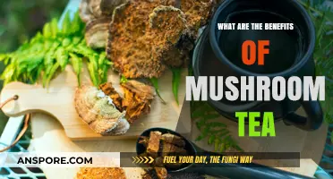 Discover the Surprising Health Benefits of Mushroom Tea Today