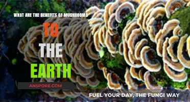 Mushrooms' Earth-Saving Powers: Unveiling Their Eco-Friendly Benefits