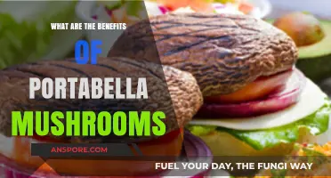 Discover the Surprising Health Benefits of Portabella Mushrooms
