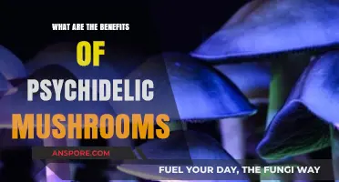 Exploring Psychedelic Mushrooms: Unlocking Mind, Healing, and Personal Growth Benefits