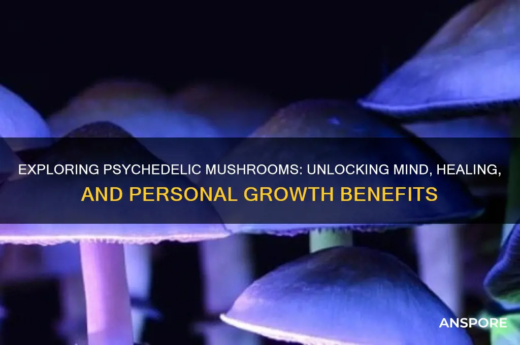 what are the benefits of psychidelic mushrooms