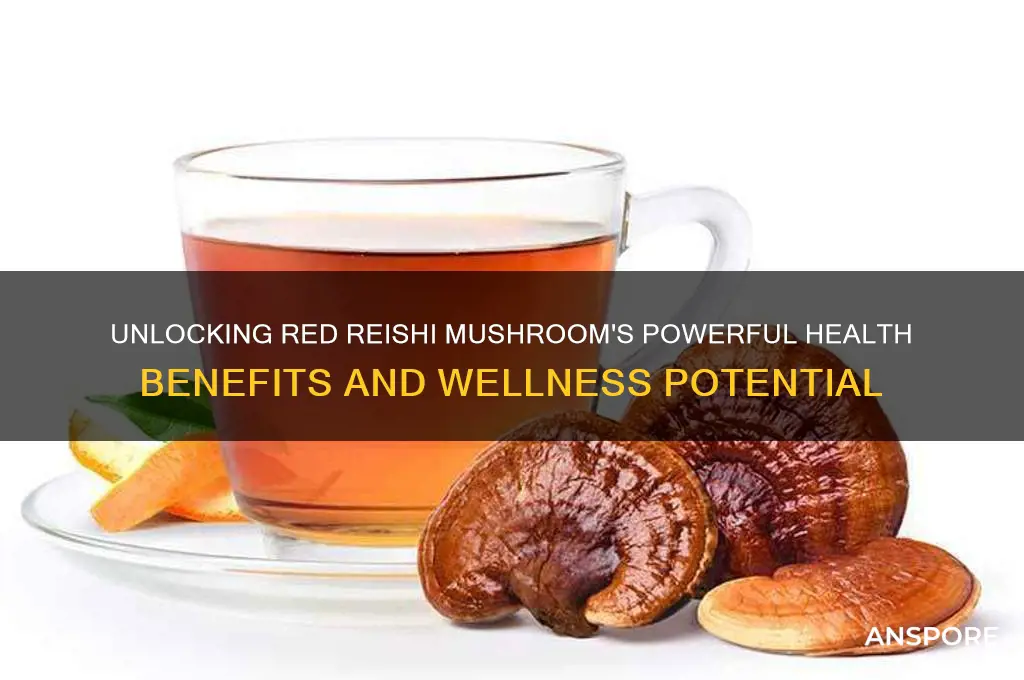 what are the benefits of red reishi mushroom