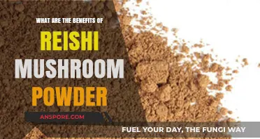 Unlocking Reishi's Power: Discover the Benefits of Mushroom Powder