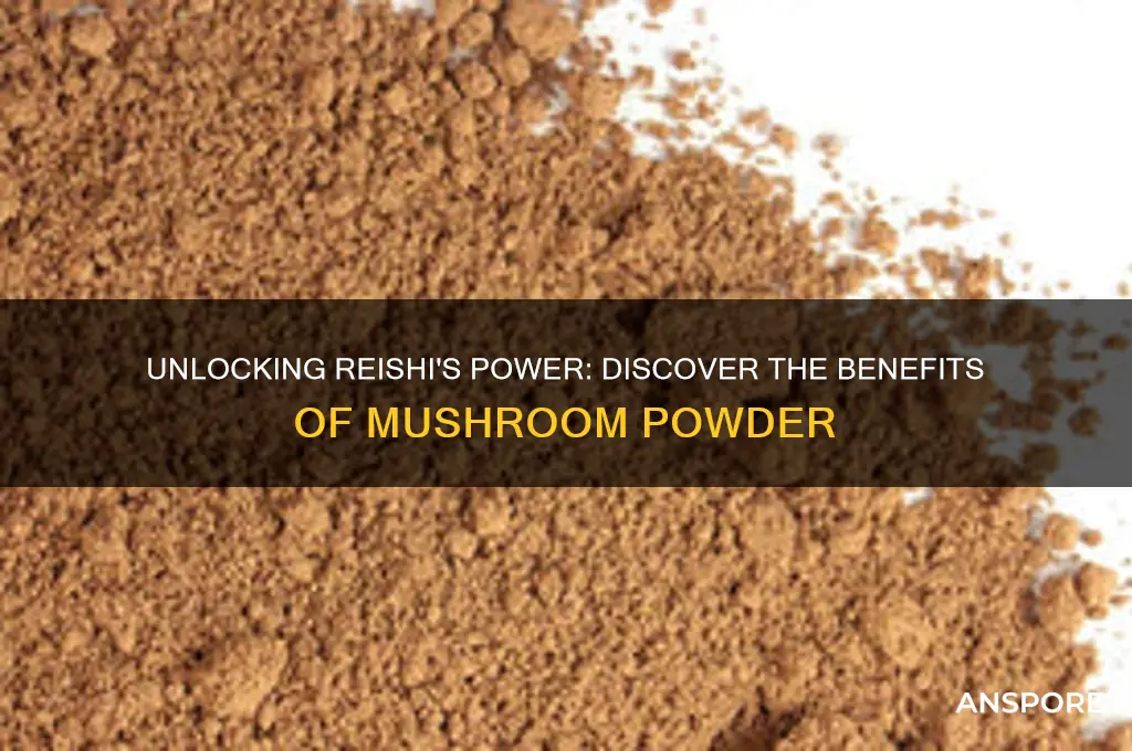 what are the benefits of reishi mushroom powder