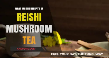 Discover Reishi Mushroom Tea's Health Benefits and Wellness Boost