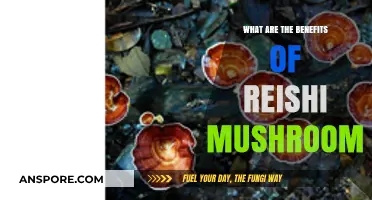Unlocking Reishi Mushroom's Powerful Health Benefits and Wellness Potential