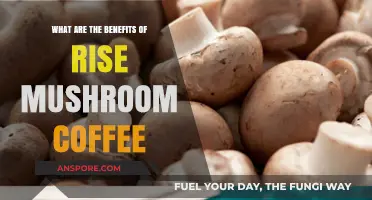 Boost Energy, Focus, and Health: Discover Mushroom Coffee Benefits