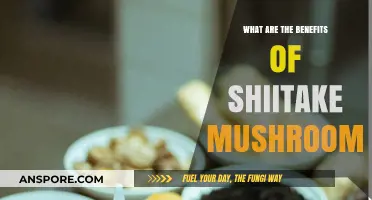 Discover the Surprising Health Benefits of Shiitake Mushrooms