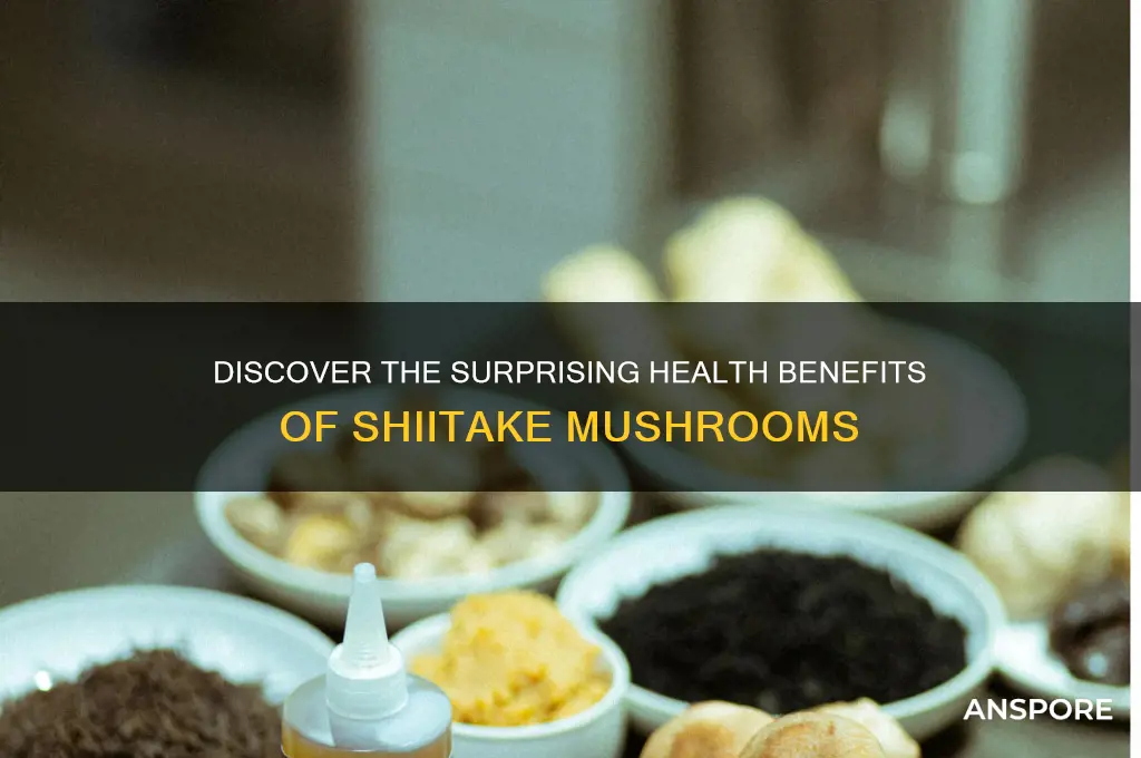 what are the benefits of shiitake mushrooms