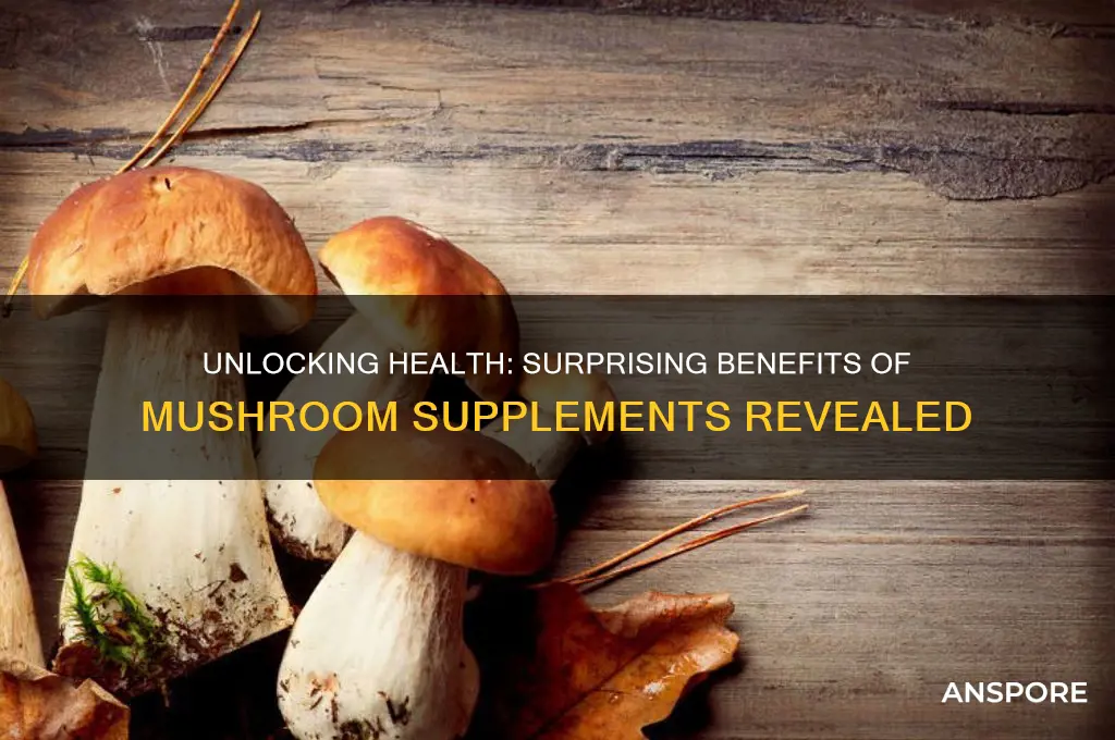 what are the benefits of taking mushroom supplements