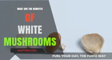 Discover the Surprising Health Benefits of White Mushrooms Today
