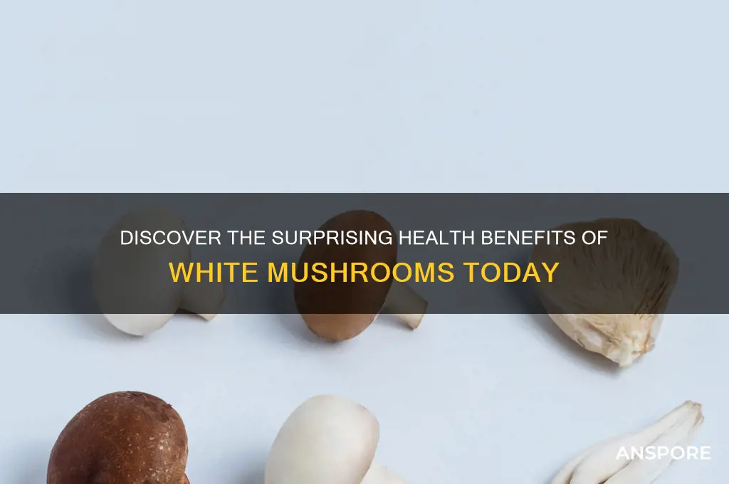 what are the benefits of white mushrooms