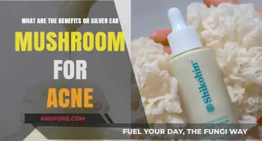 Silver Ear Mushroom: A Natural Remedy for Clearer, Acne-Free Skin