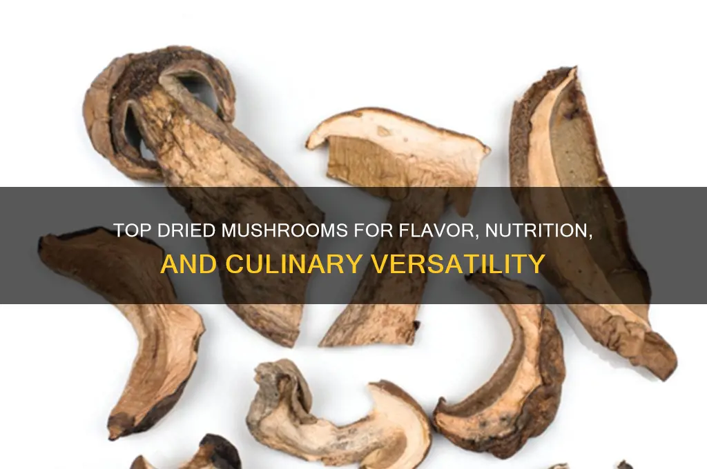 what are the best dried mushrooms