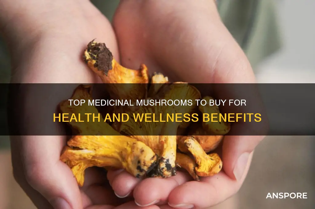 what are the best medicinal mushrooms a person can purchase