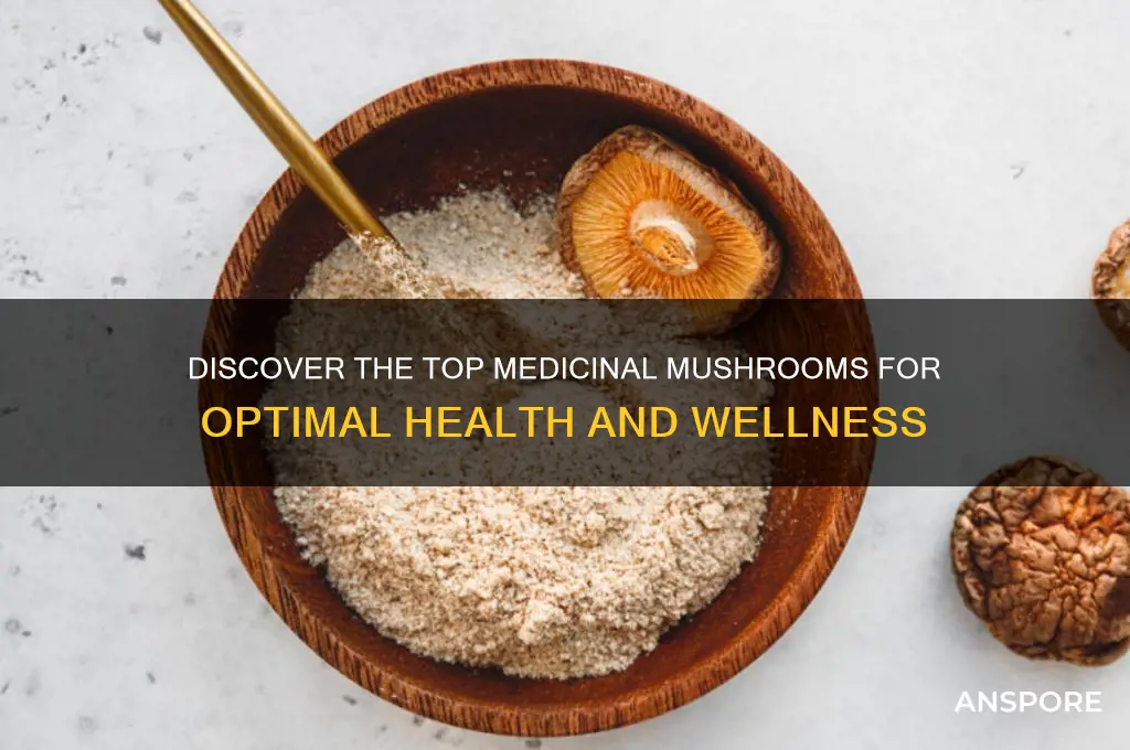 what are the best medicinal mushrooms
