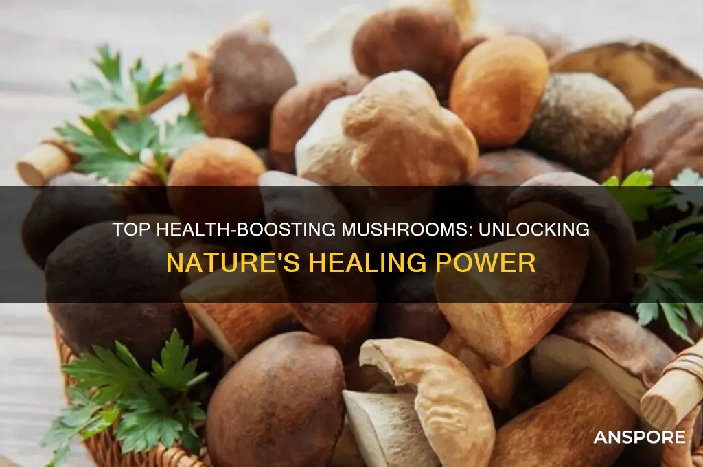 what are the best mushroom for health