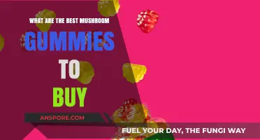Top Mushroom Gummies: Best Brands to Boost Your Wellness Routine