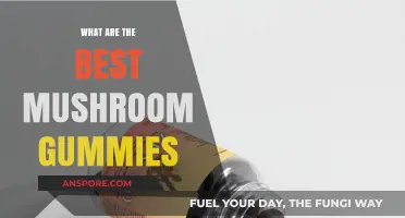 Top Mushroom Gummies: Enhance Wellness with These Tasty Superfoods