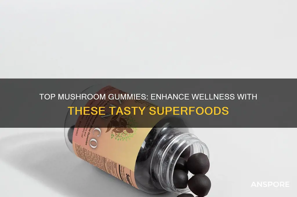 what are the best mushroom gummies