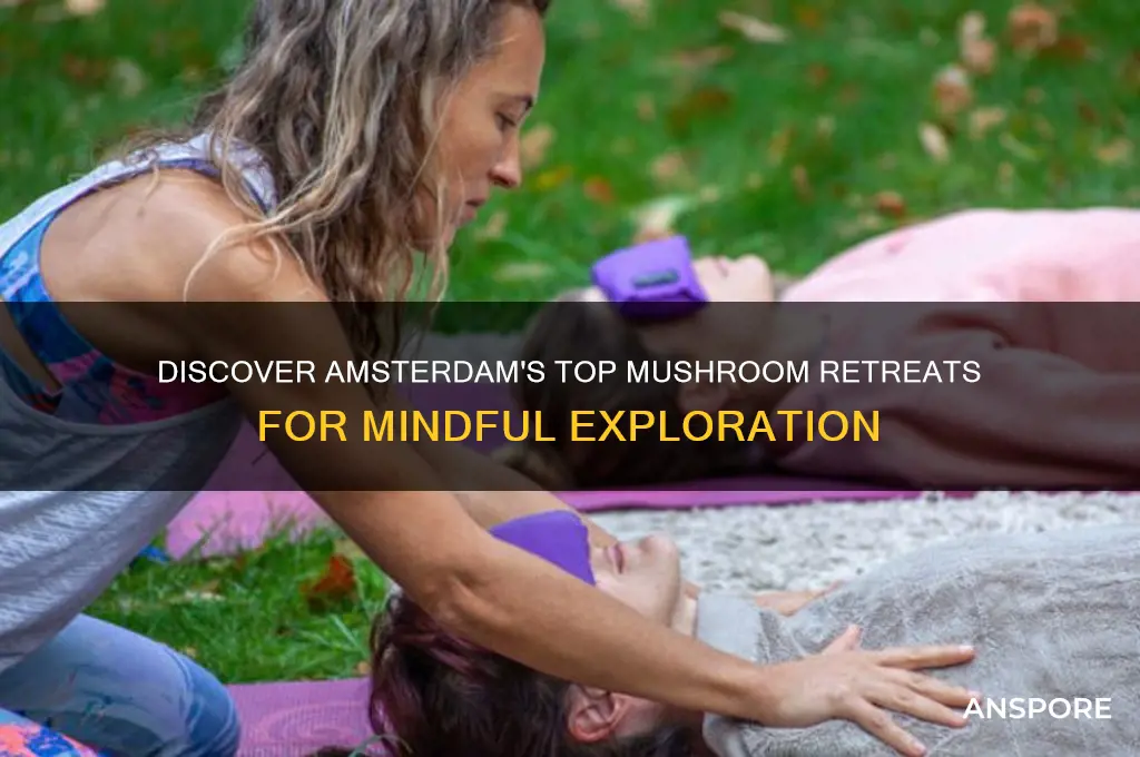 what are the best mushroom retreats amsterdam