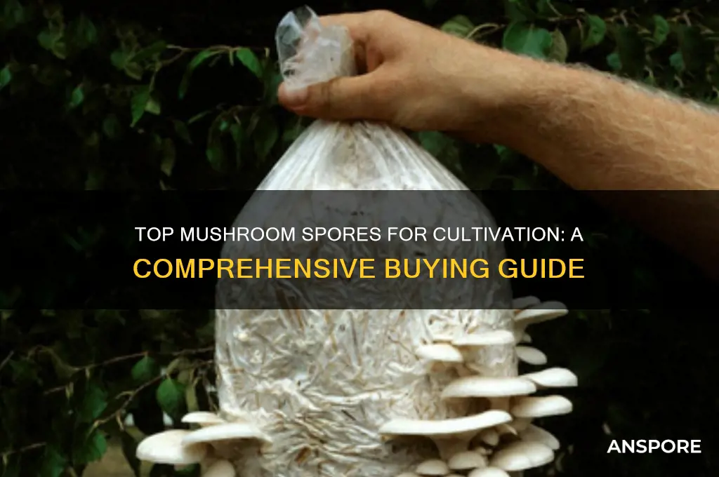 what are the best mushroom spores to buy