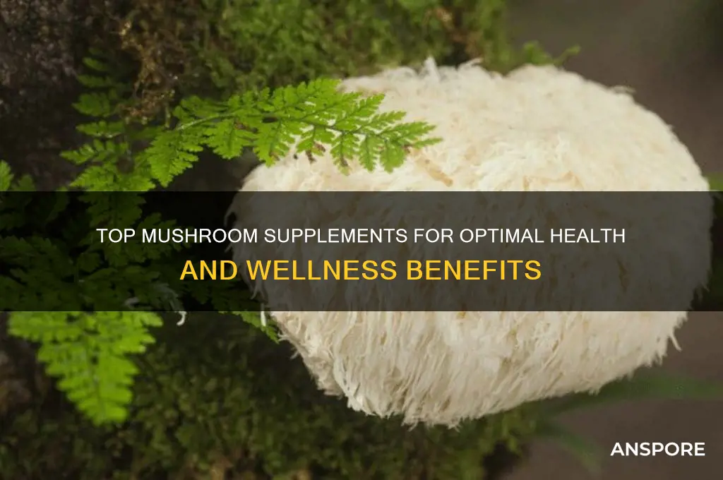 what are the best mushroom supplements