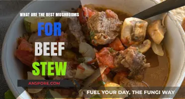 Enhance Your Beef Stew with These Top Mushroom Varieties