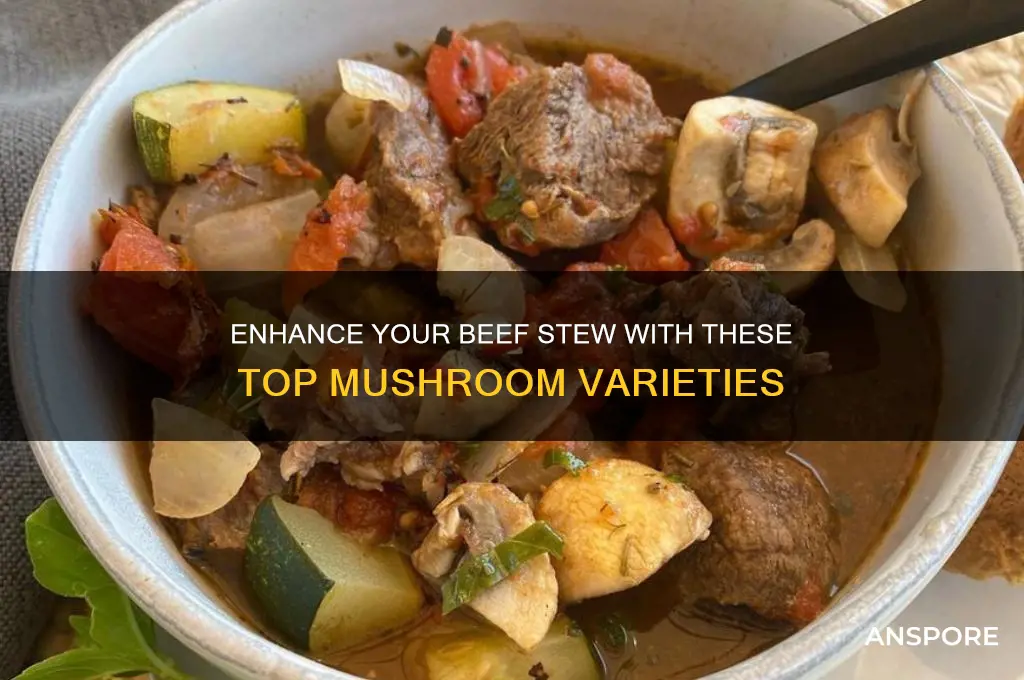 what are the best mushrooms for beef stew