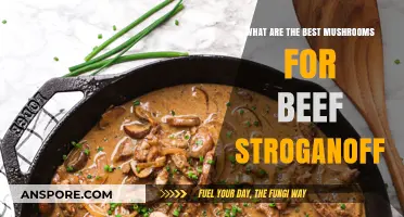 Perfect Mushrooms for Beef Stroganoff: Top Varieties to Elevate Your Dish