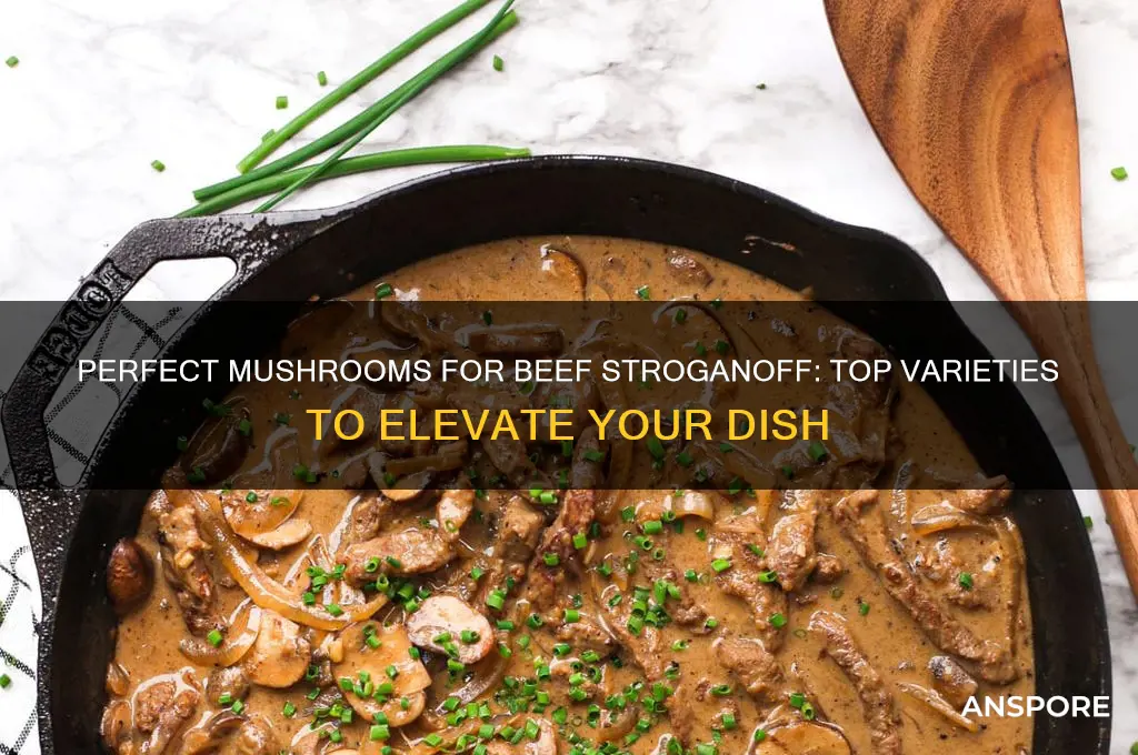 what are the best mushrooms for beef stroganoff