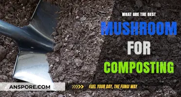 Top Composting Mushrooms: Boost Your Garden with These Fungal Allies