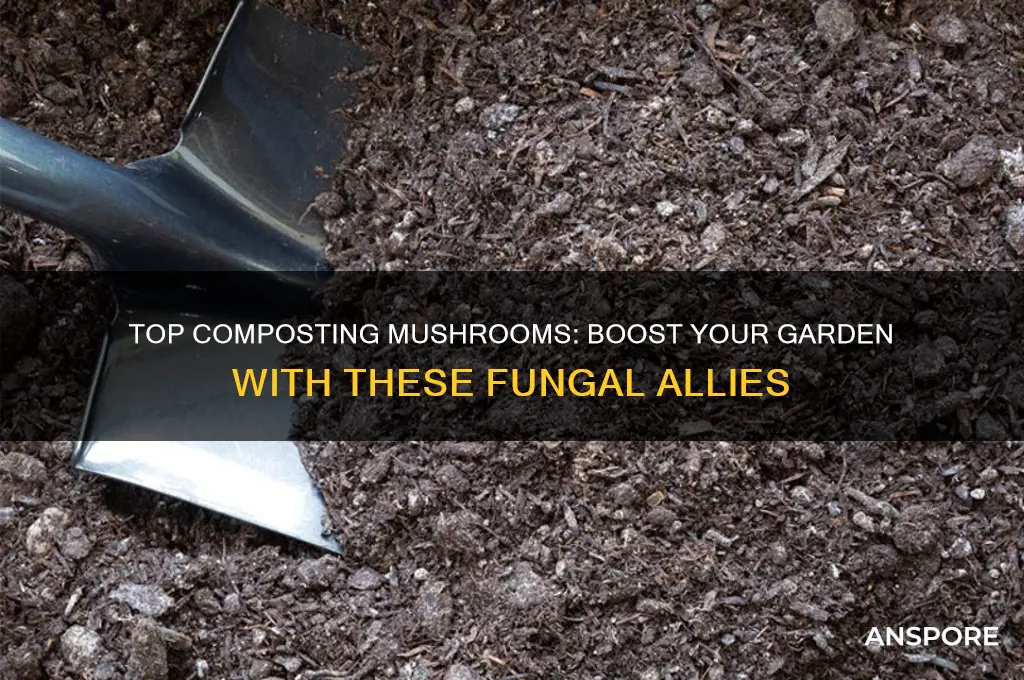 what are the best mushrooms for composting