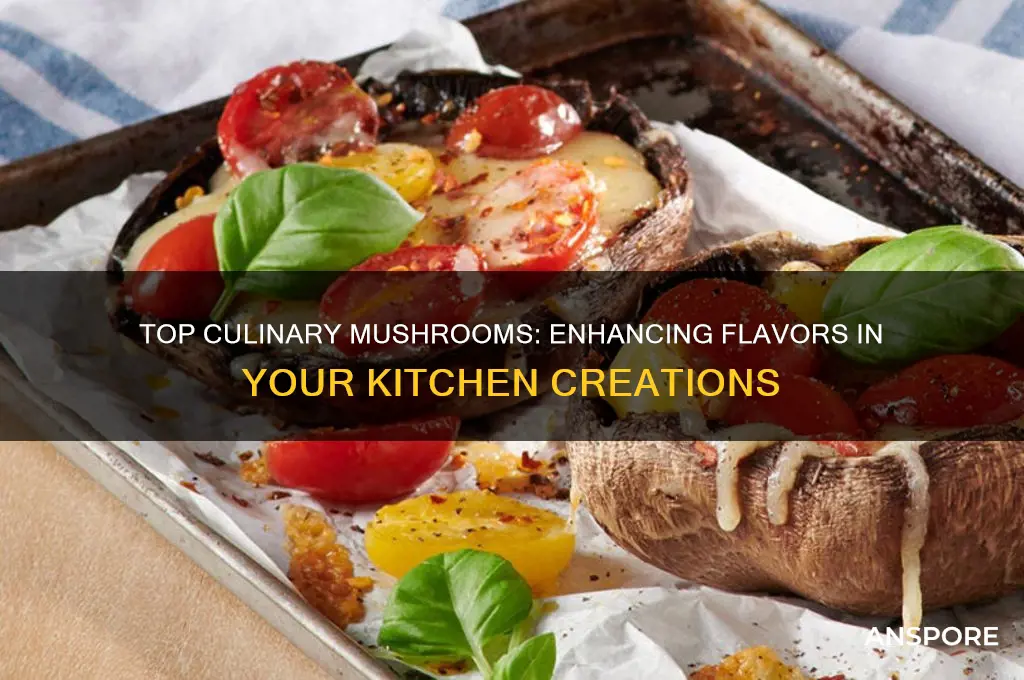 what are the best mushrooms for cooking