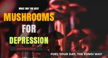 Natural Relief: Top Mushrooms to Combat Depression Effectively