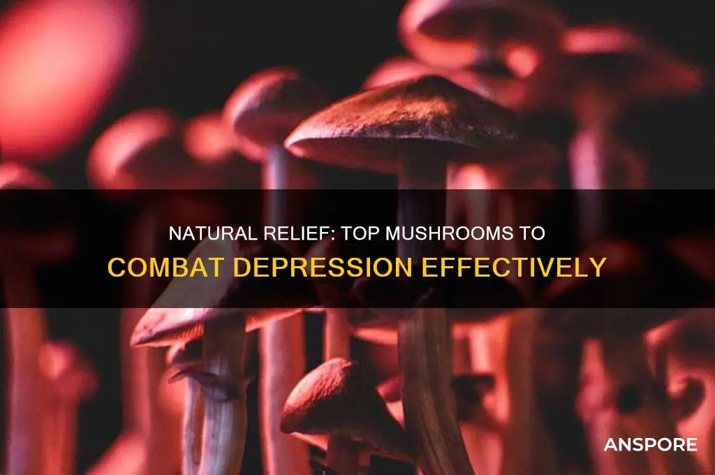 what are the best mushrooms for depression