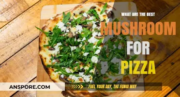 Top Pizza Mushrooms: Flavorful Fungi to Elevate Your Slice