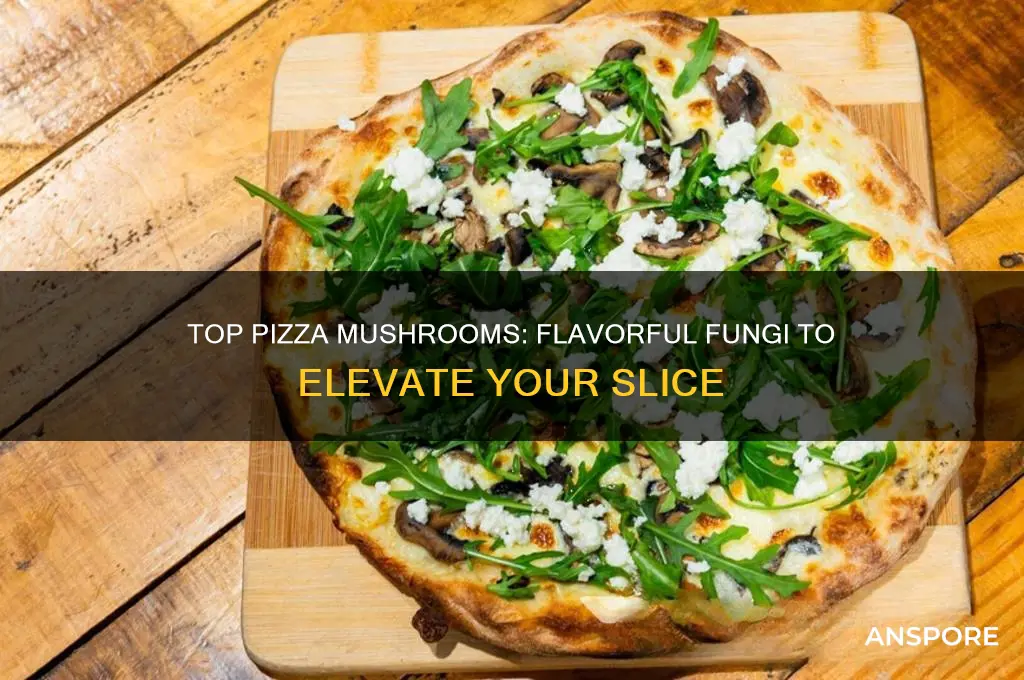 what are the best mushrooms for pizza
