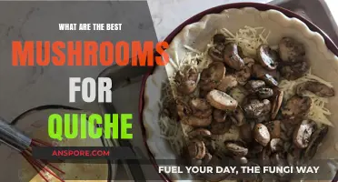 Top Mushroom Varieties to Elevate Your Quiche Recipes Perfectly