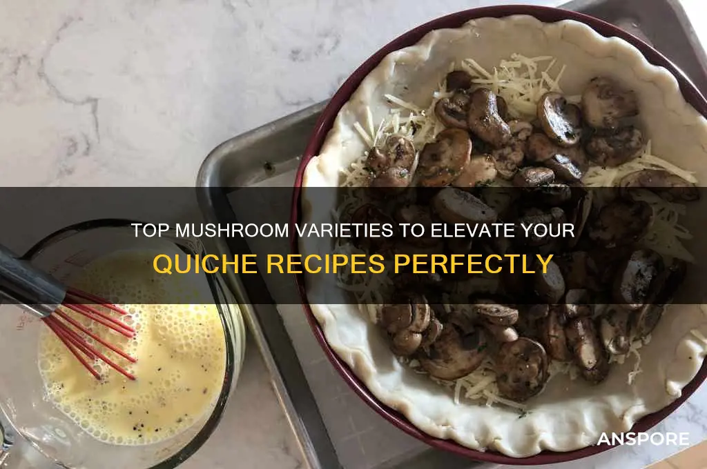 what are the best mushrooms for quiche