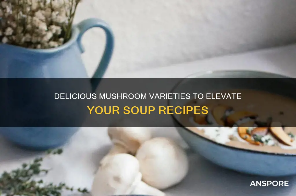 what are the best mushrooms for soup