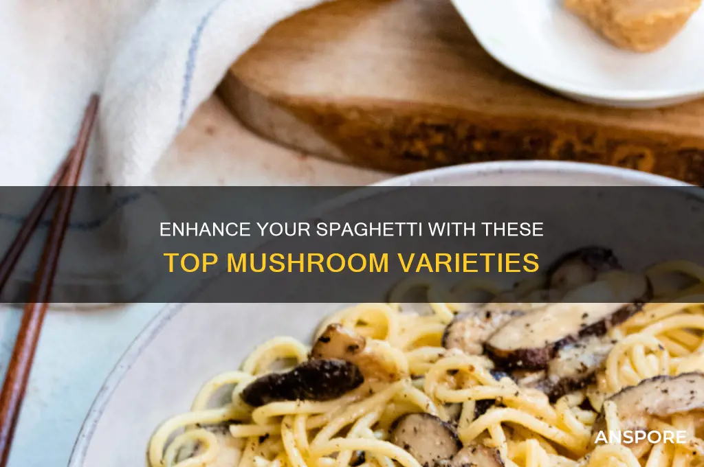 what are the best mushrooms for spaghetti