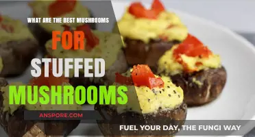 Top Stuffed Mushroom Varieties: Flavorful Fungi for Delicious Appetizers